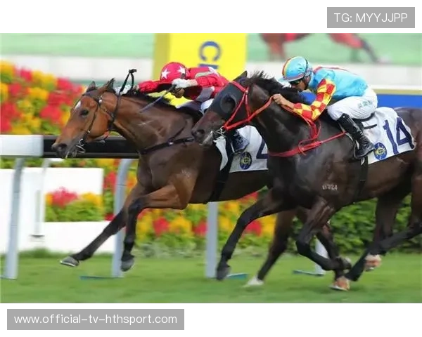 冠军争夺战高能操作全集（159 ）